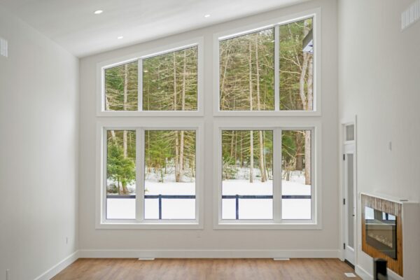 house window tint large living room windows